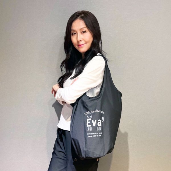 画像1: Eva：Eva10周年記念エコバッグ (1)