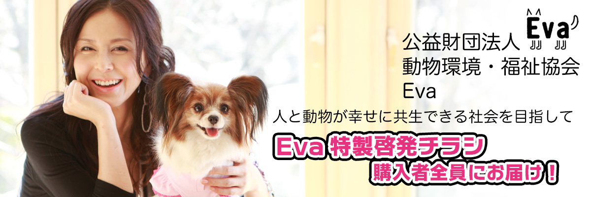 公益財団法人 動物環境・福祉協会 Eva　杉本彩さん