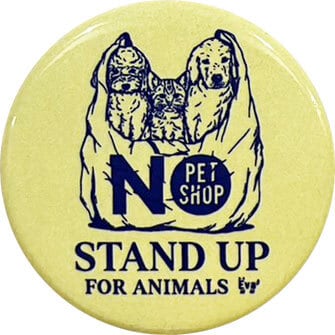 ネットdeにゃっ展