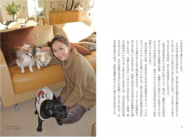 ネットdeにゃっ展