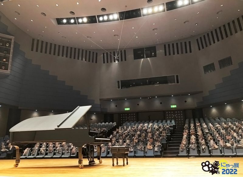 伊藤憲孝チャリティ演奏